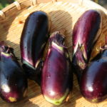 秋茄子は嫁に食わすなの意味と真相は?使い方や英語も紹介