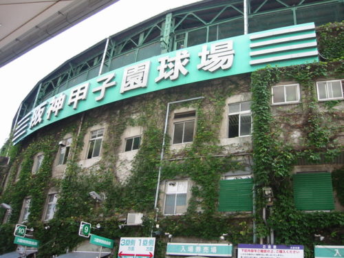 甲子園球場のアイビーシートとは?値段や購入方法も紹介!