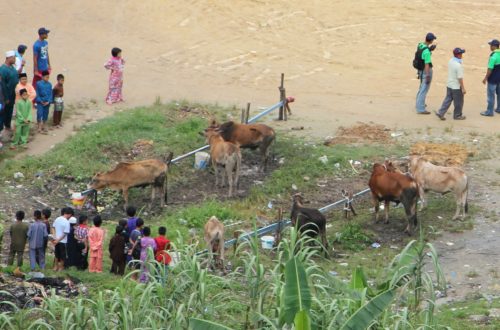 ハリラヤハジというイスラム教の生贄(犠牲)祭りとは?