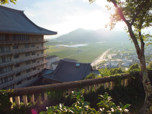 円応教とはカルト協会?評判や芸能人を紹介!被害や事件は?