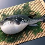 フグの毒の症状や時間経過による治療の遅れの危険が?致死量や部位は?