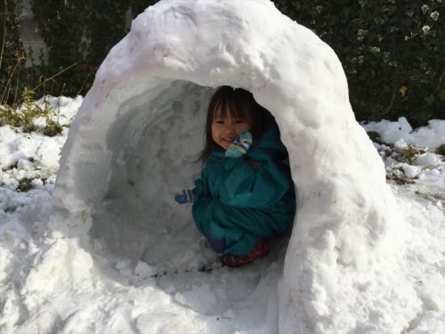 かまくらの作り方を簡単に動画で!ブロックやバケツなどの必要な道具は?