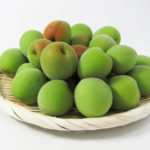 梅の実には毒がある?毒抜きの方法や食べないための見極め方は?