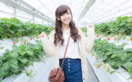 いちご狩りの服装で気を付けることは?色や動きやすいも格好で行こう!