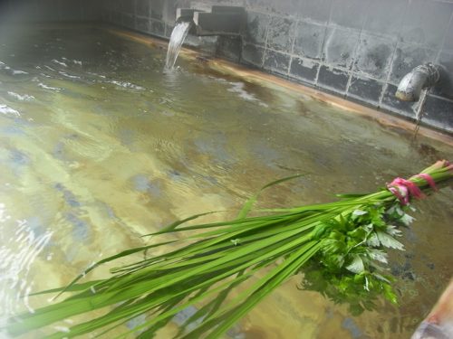 菖蒲湯はいつ入るのがいい?時期や由来や効能、入り方ややり方も重要?