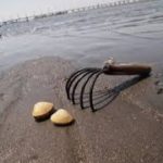 潮干狩りのシーズンはいつからいつまで?関西や関東の地域別に紹介!必要なものは?