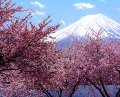 春といえばの行事やイベント、記念日や花などネタの種を紹介！