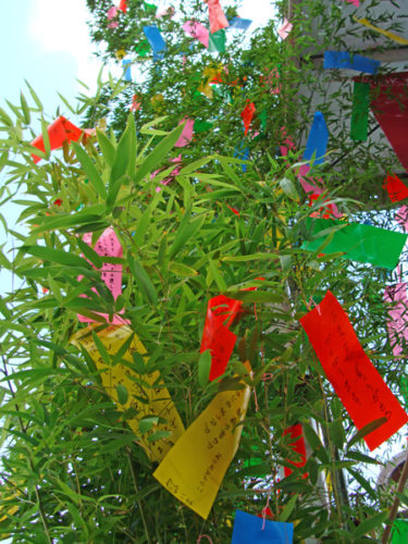 七夕の短冊に書く願い事の例を大量に!書き方や注意点は?