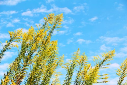 9月は暑い?平均気温や服装は長袖と半袖どっちがいい?