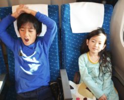 新幹線の子供料金は何歳まで利用可能?バレなければいける?
