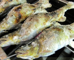 鮎にいる寄生虫はどんなの?人間に起きる症状や食べない対策は!