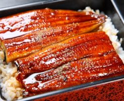 うなぎの生産地で美味しいものを見極める!外国産でもいける国も!