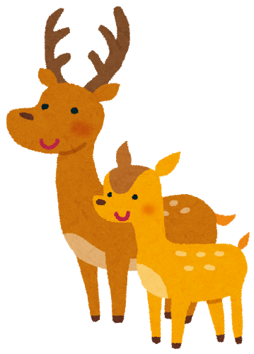 鹿せんべいの味はどんなの?人間は食べても大丈夫なの?