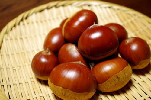 栗の食べすぎの影響はどんなの?適性の量や対策はどうする?