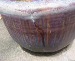 火鉢でメダカを育てる!水漏れを防ぐ方法や準備は?