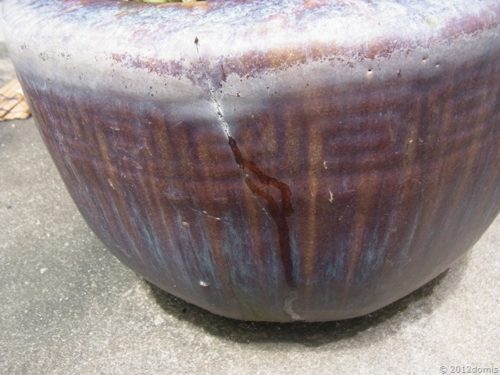 火鉢でメダカを育てる!水漏れを防ぐ方法や準備は?