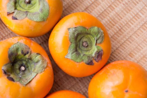 柿の木の毛虫の駆除の方法や退治するのにおすすめの商品は?