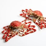 タカアシガニの味はまずい!?おいしい蟹の選び方やコツは?