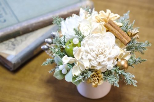 もみの木の実はどんなの?赤い実は食べることが出来るの?