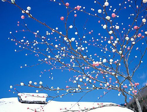 小正月の飾りはいつまで飾る?処分はどうすればいい?