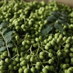 山椒のしびれる理由や対処法は?食べ過ぎの量や効果、効能は?