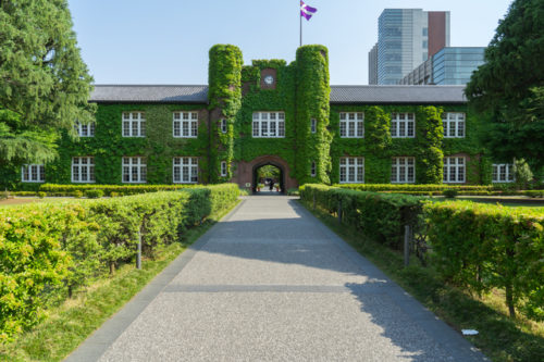 DMM見放題chライトのおすすめポイントや見れる動画は?今なら2週間無料!!