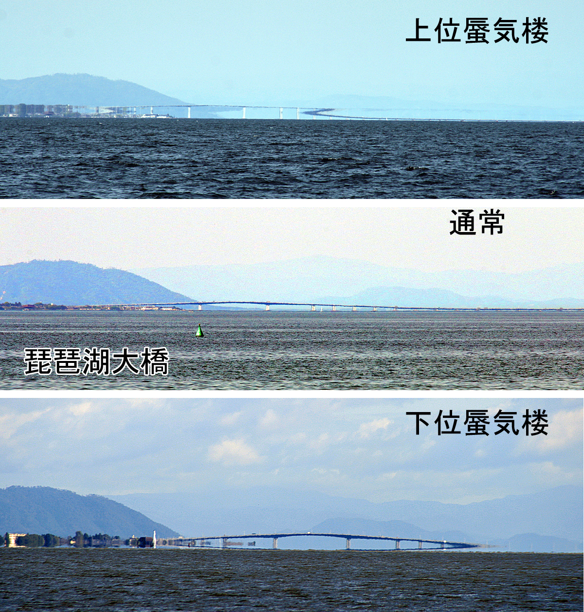 夏休みの自由研究!早めにテーマを決めて余裕を持つためのヒント集
