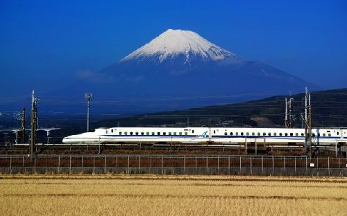 国際青少年デー!次世代を担う若者の意見と行動を尊重し支援する日