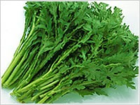 夏の終わりの大掃除！網戸やベランダに溜まった砂埃をスッキリ落とす