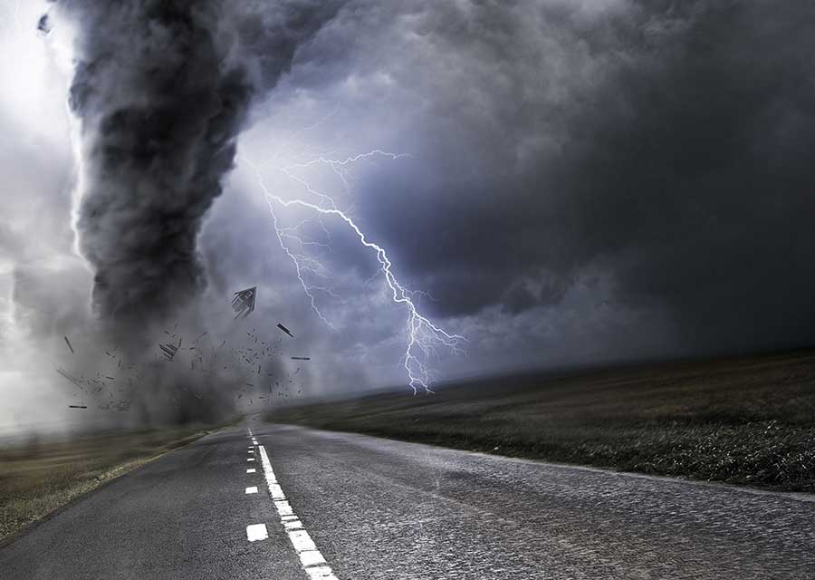 国際反戦デー！平和の尊さを深く刻む一日に。戦後の歴史を正しく学ぶ