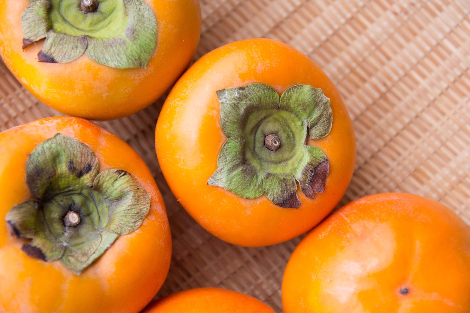 紅茶の日！大黒屋光太夫が飲んだ歴史を辿る。美味しい紅茶の淹れ方の極意