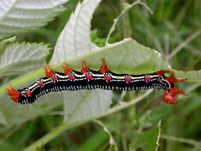 レコードの日！アナログ盤の深い音色に浸る。大人の趣味としてのレコード鑑賞