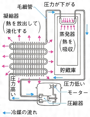 鍋の日!家族全員で囲む寄せ鍋の具材と、究極の出汁を美味しくするコツ
