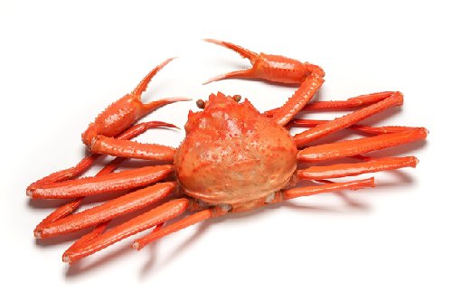 ボイラーデー！お風呂の給湯器点検。冬本番のトラブルを未然に防ぐための対策