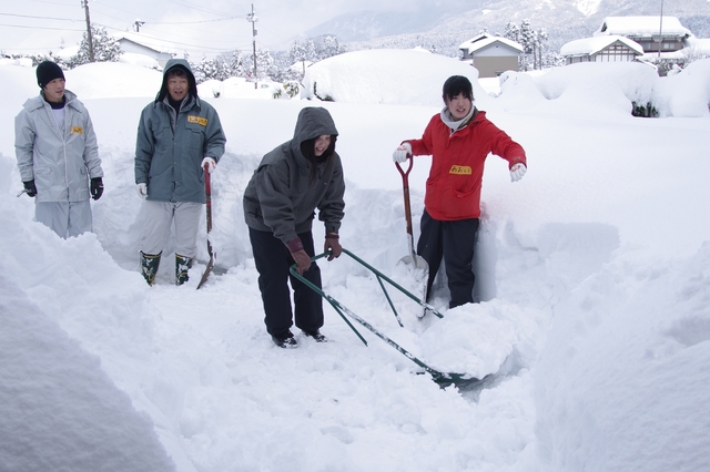 旬の真鯛（まだい）！お祝い事だけではない、冬の鯛の脂の乗りと美味しさ