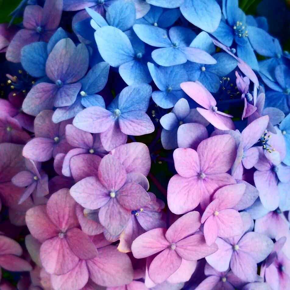 秋の夜長の快眠術!寝る前のスマホを置いて、静かな読書を楽しむ新しい習慣