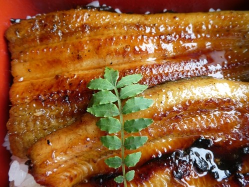 うなぎの血は毒があって失明する可能性が？目に入った時の対処法は？